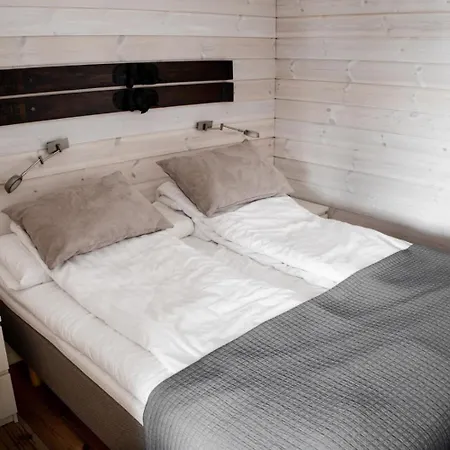 Ameno 1 Himos By Dg Lomailu * Jämsä